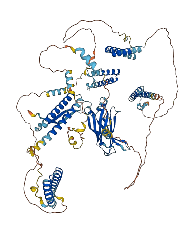 CC2D1B 3D structure