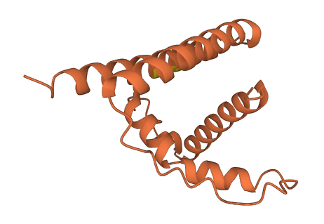 C1orf220 3D structure