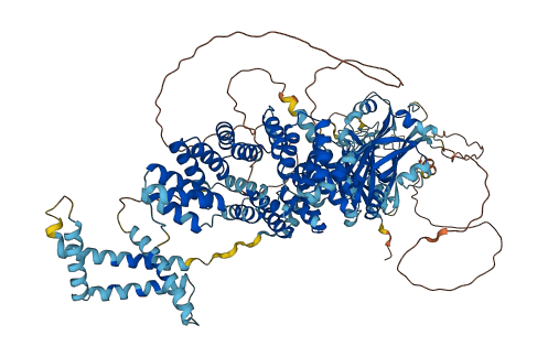 CFAP70 3D structure