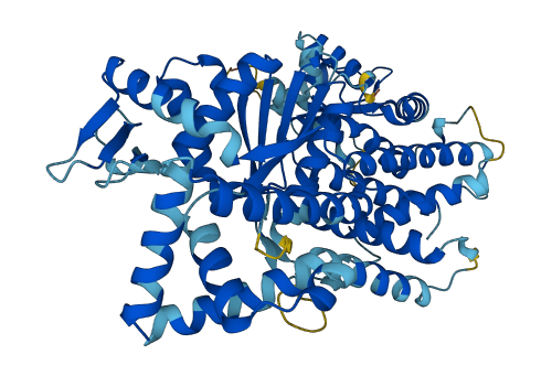 RARS2 3D structure
