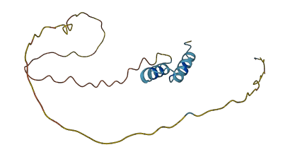 CHCHD2P9 3D structure