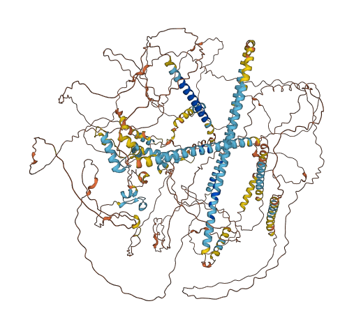 ZC3H13 3D structure