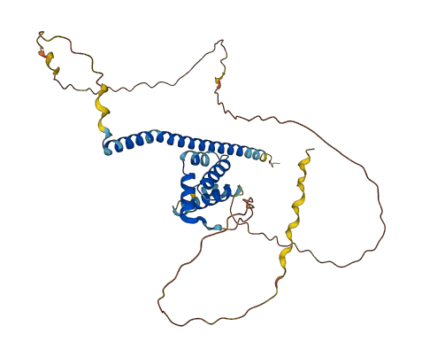 UTF1 3D structure
