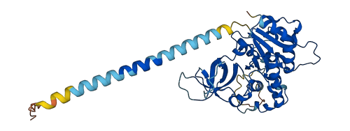 SPOUT1 3D structure