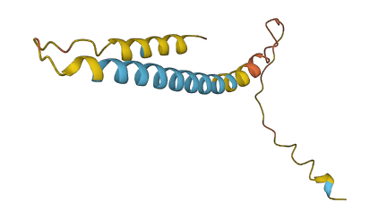 TMEM273 3D structure