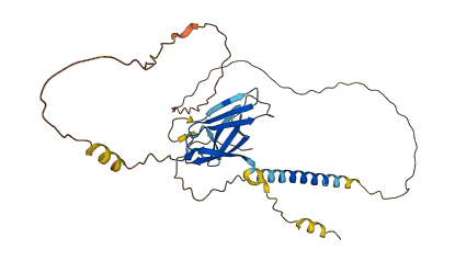 TREML2 3D structure