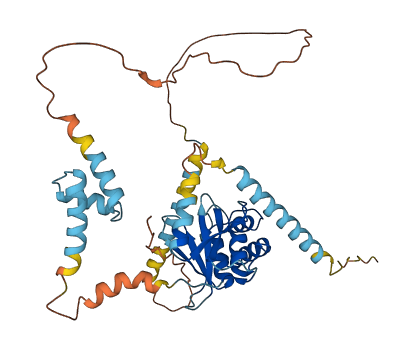 OTUD3 3D structure