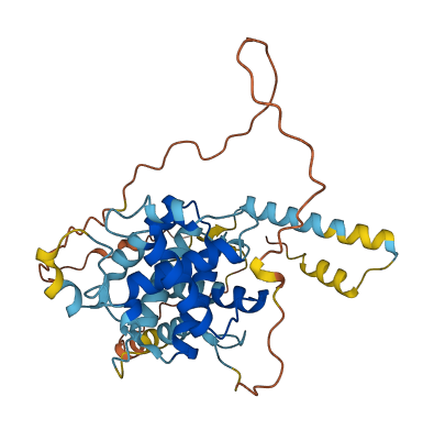 CCNYL2 3D structure