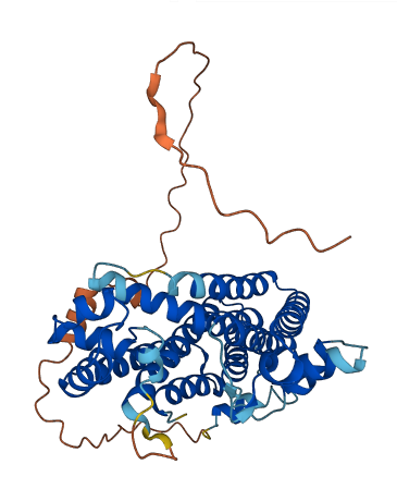 PDSS1 3D structure