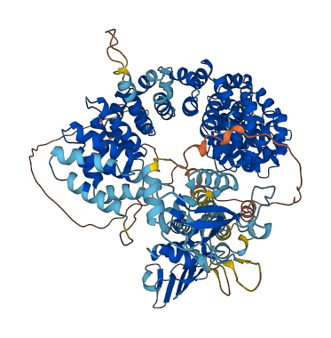 ARMC4 3D structure