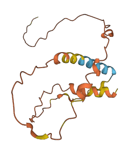 FAM182B 3D structure