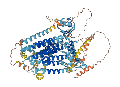 TMEM63B 3D structure