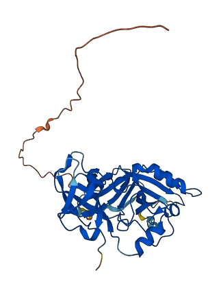 IBA57 3D structure