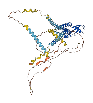 GJC2 3D structure