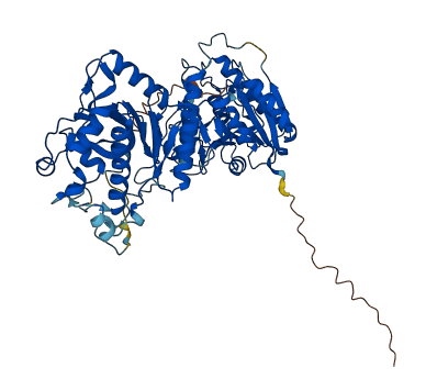 CERCAM 3D structure