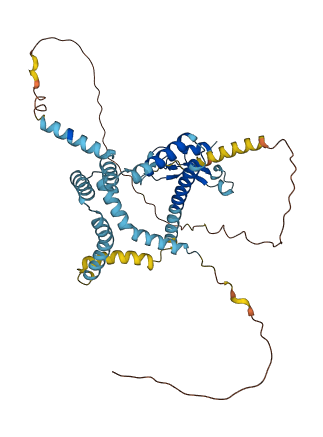 ZFYVE27 3D structure
