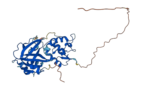 SFRP5 3D structure
