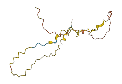 CASC10 3D structure