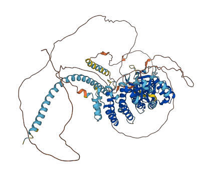 SYCP2L 3D structure