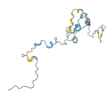 C1orf194 3D structure