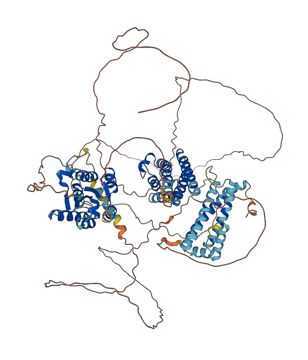 SWT1 3D structure