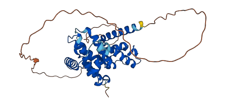 CCNJ 3D structure