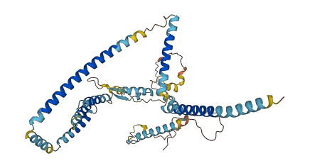 C6orf118 3D structure