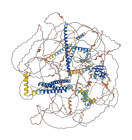 KIAA1217 3D structure