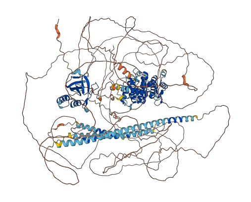 CAMSAP1 3D structure
