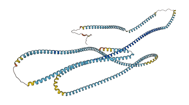 CFAP58 3D structure