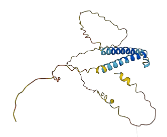 C10orf62 3D structure