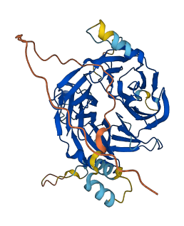 DCAF12 3D structure