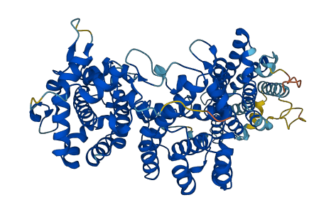 ERMARD 3D structure
