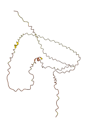 LINC00242 3D structure