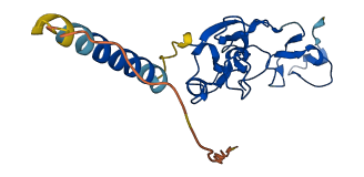 LDLRAD1 3D structure