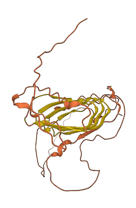 XP32 3D structure