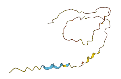 LCE1D 3D structure