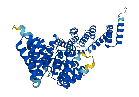 IFIT1B 3D structure