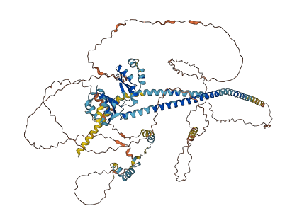 L1TD1 3D structure