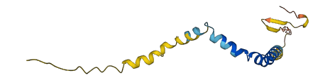 TMEM78 3D structure