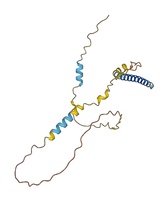 C1orf185 3D structure