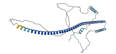 GORAB 3D structure