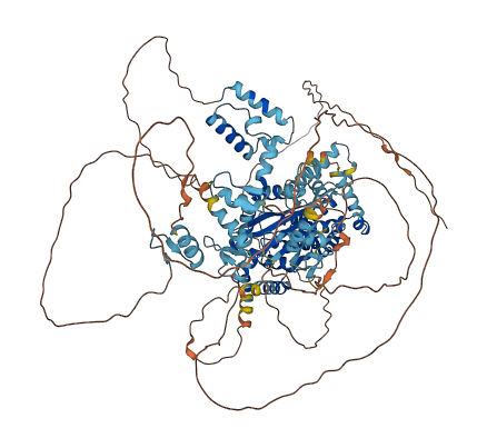ZNF618 3D structure