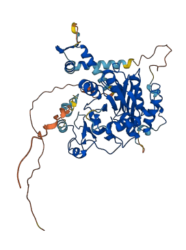 TSTD2 3D structure