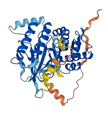 PIP5KL1 3D structure