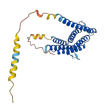 TEDDM1 3D structure