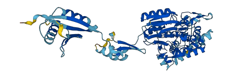 INTS11 3D structure