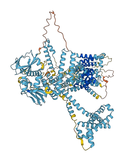 SLC9C2 3D structure