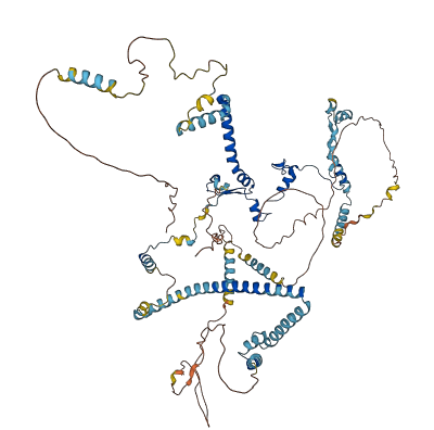 UTP14C 3D structure
