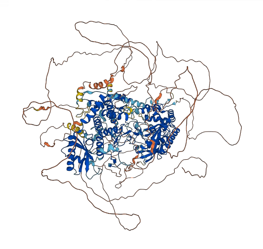 TUT4 3D structure